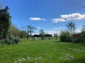 Naturhäuschen in Oostkapelle