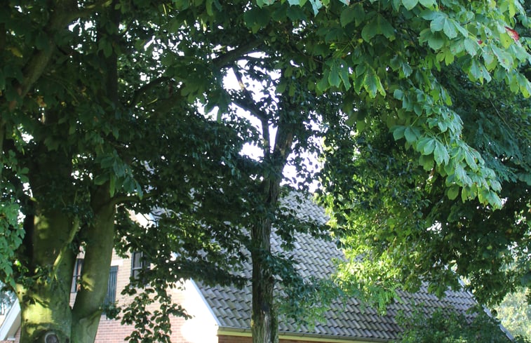 Nature house in Kootwijk: 7