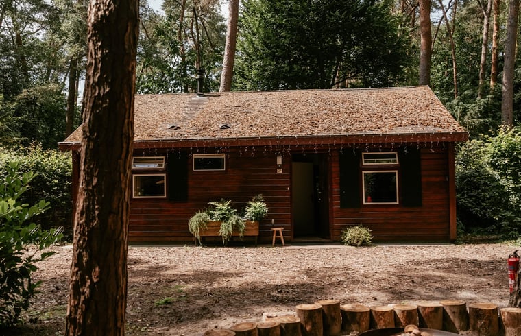 Chalet in Oisterwijk — foto 1