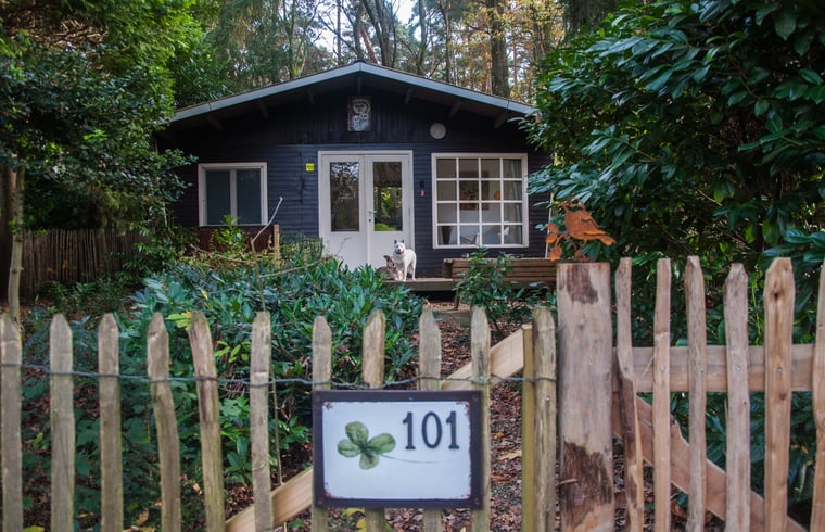 Chalet in Lanaken (Gellik) — foto 1