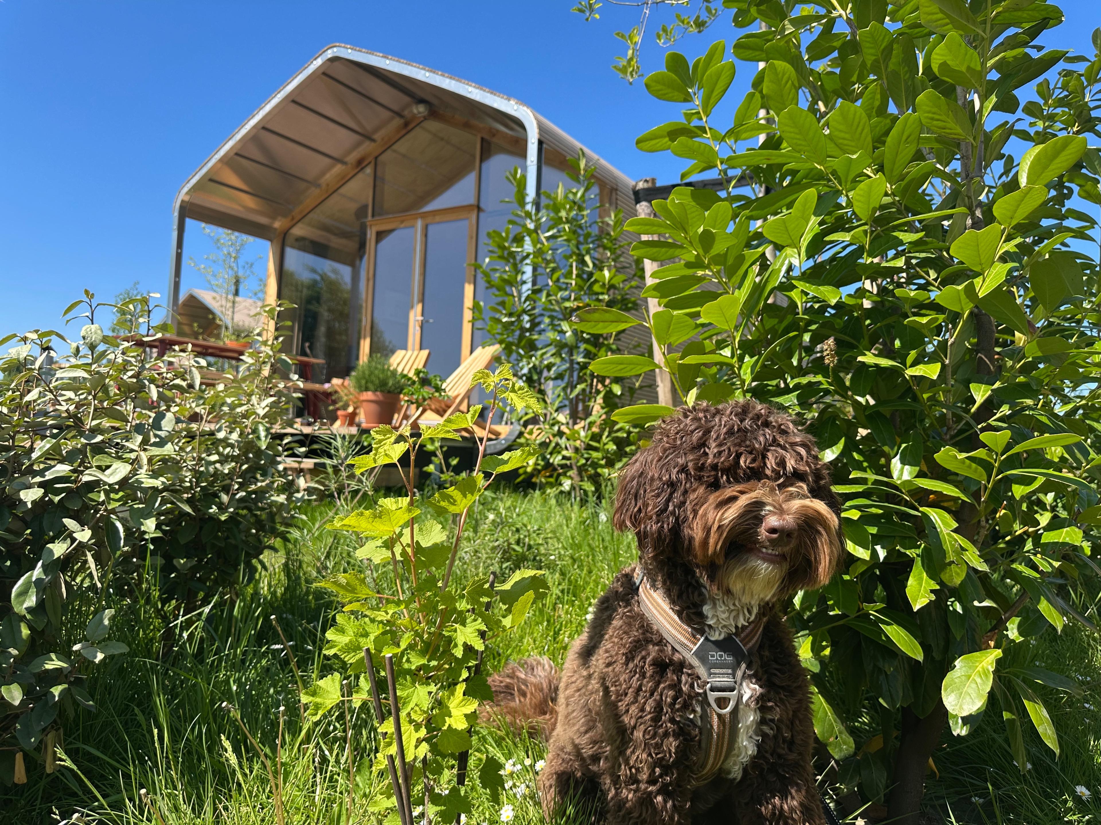 Nature house in Hoogwoud
