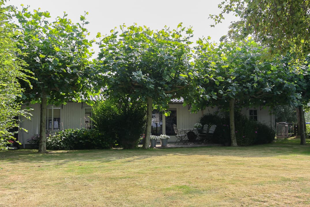 Nature house in Nieuwer Ter Aa