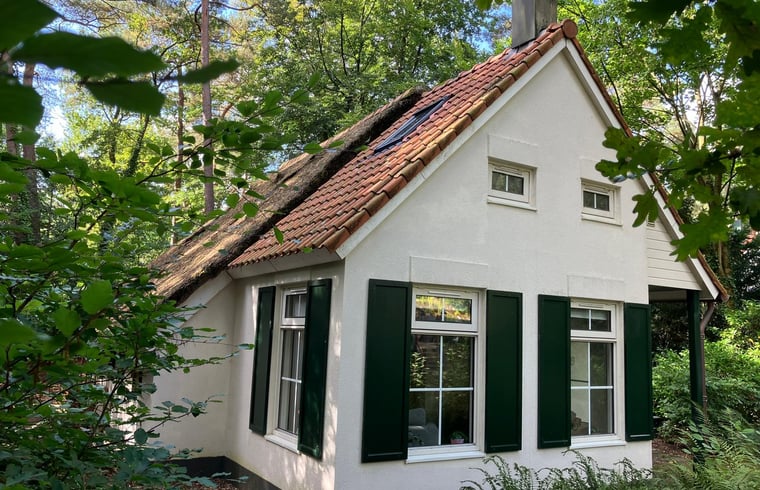 Vakantiehuis in IJhorst — foto 1