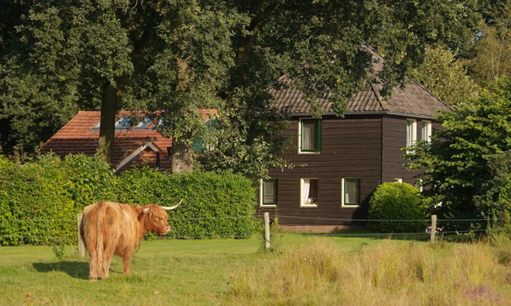 Maison nature à Zuidwolde