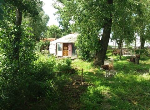 Nature house in Pittem