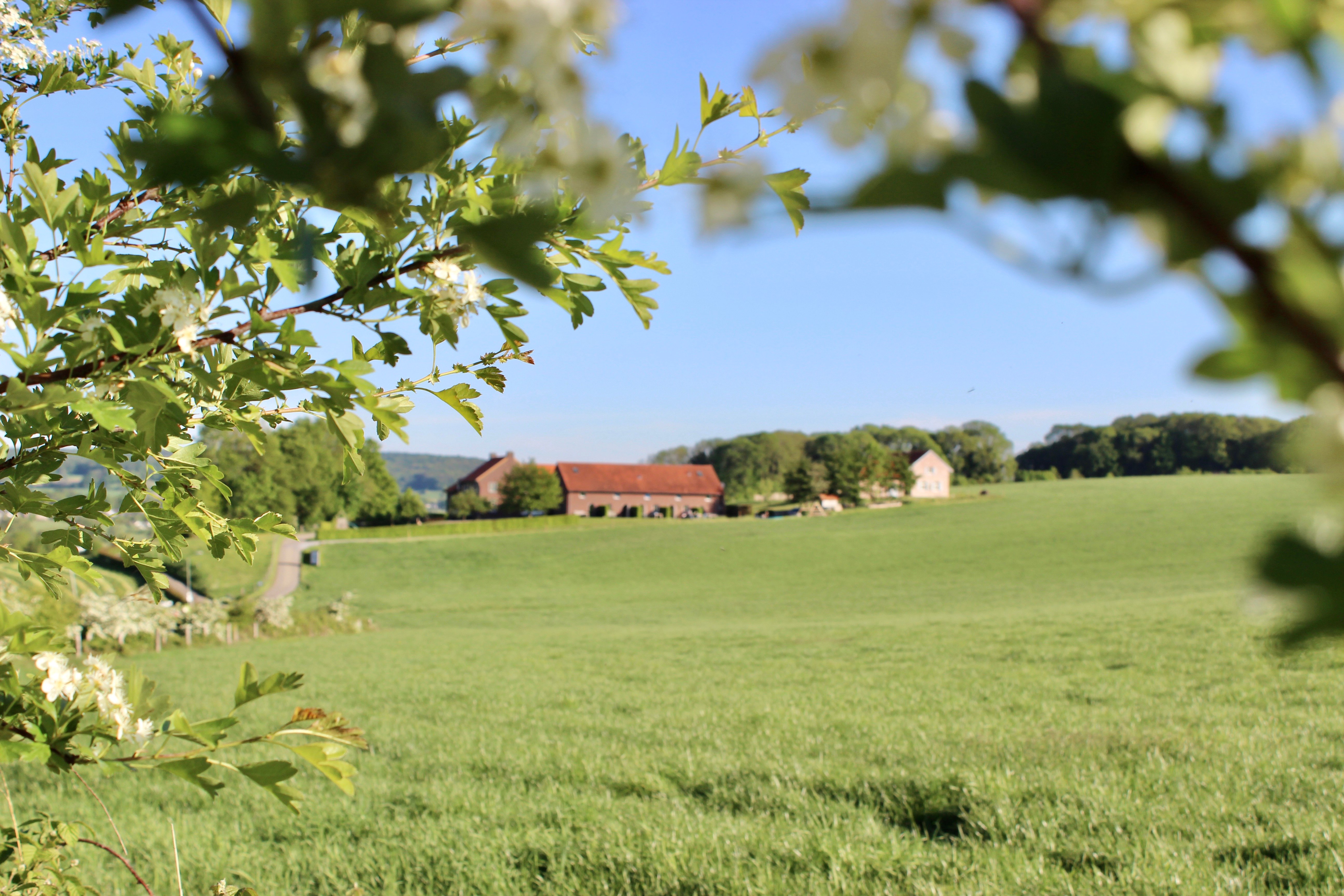 Natuurhuisje in Gulpen