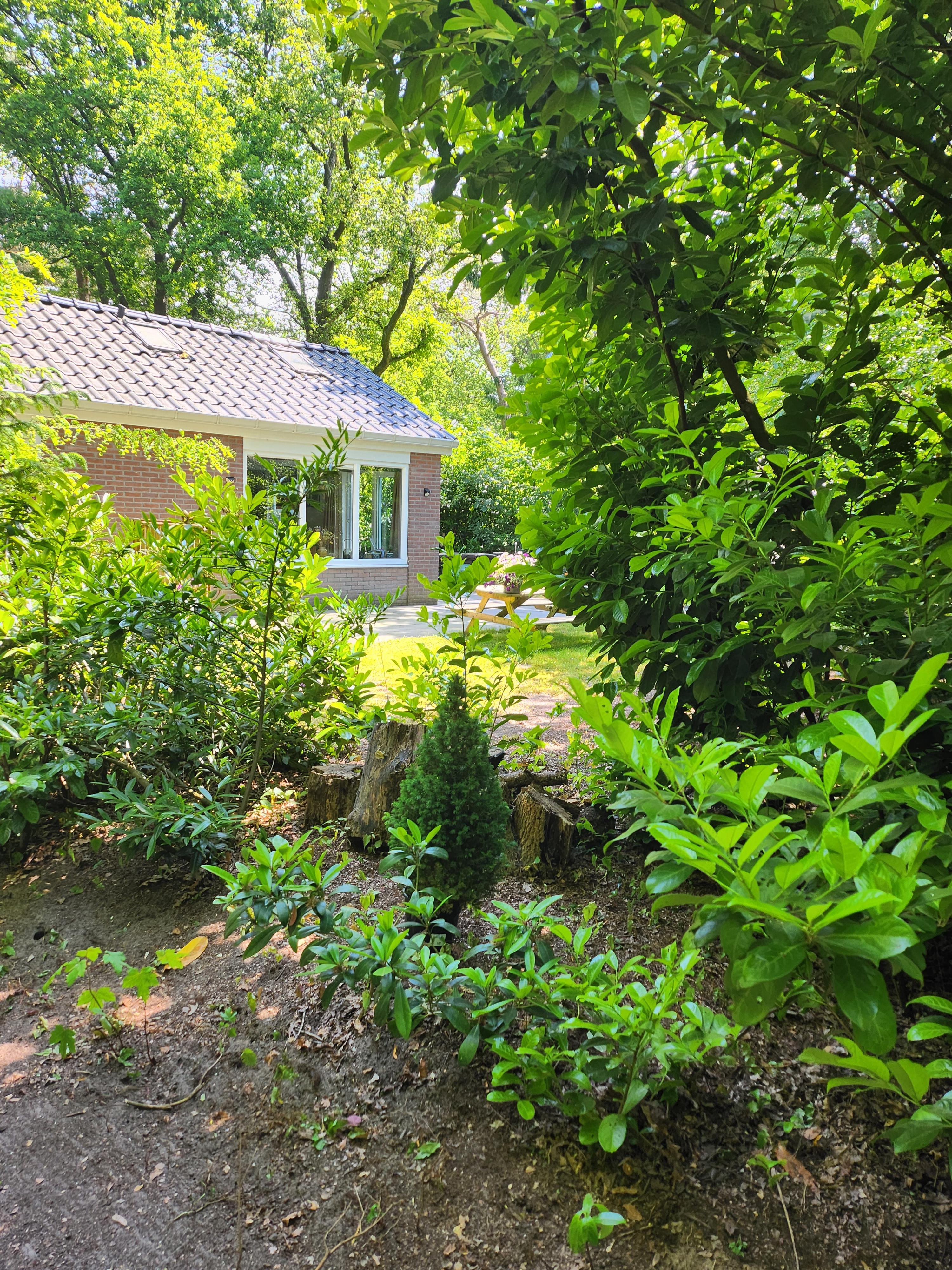 Nature house in Gasselte