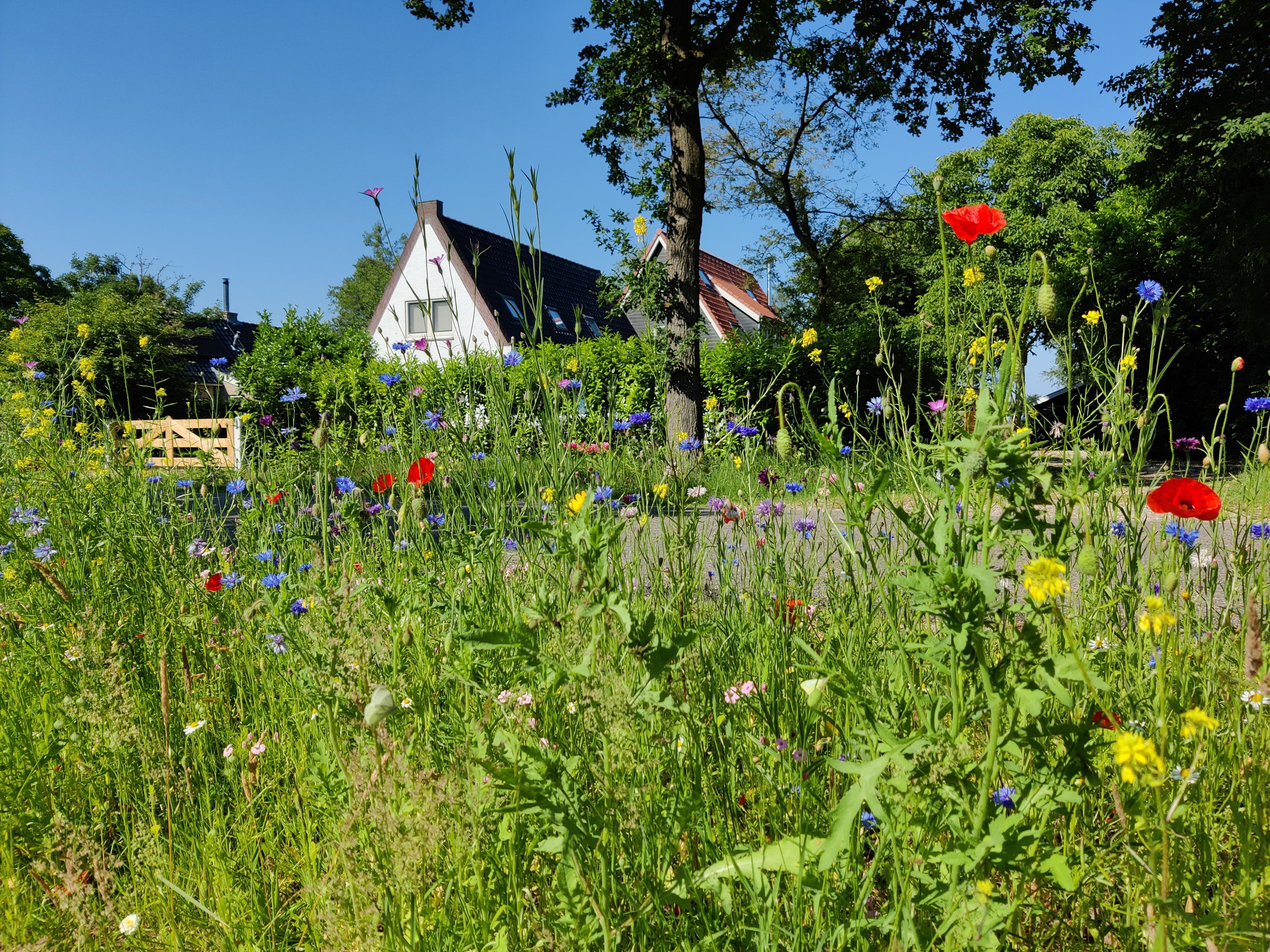 Natuurhuisje in Ruigahuizen