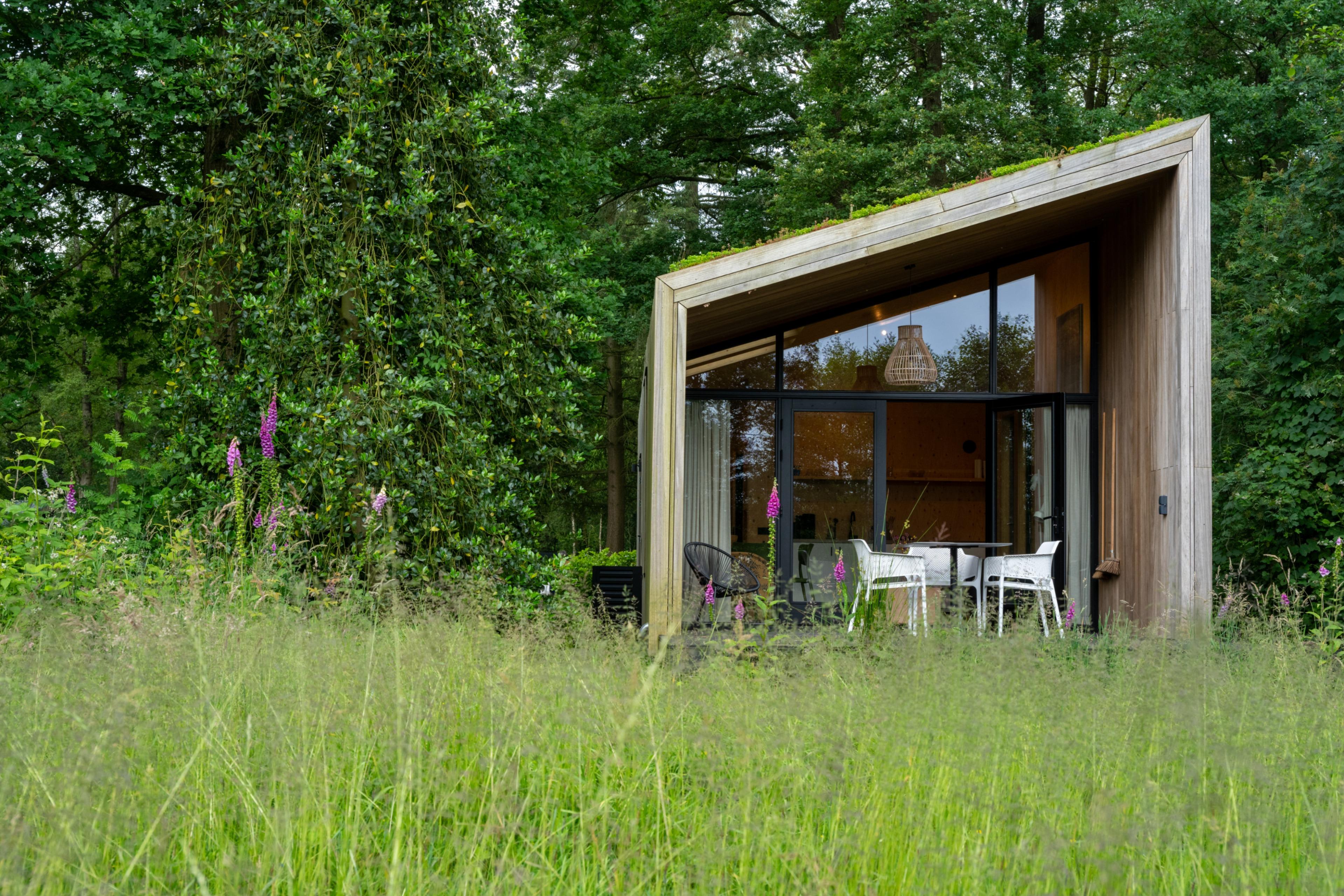 Maison nature à Diepenheim