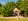 Nature house in Oirschot