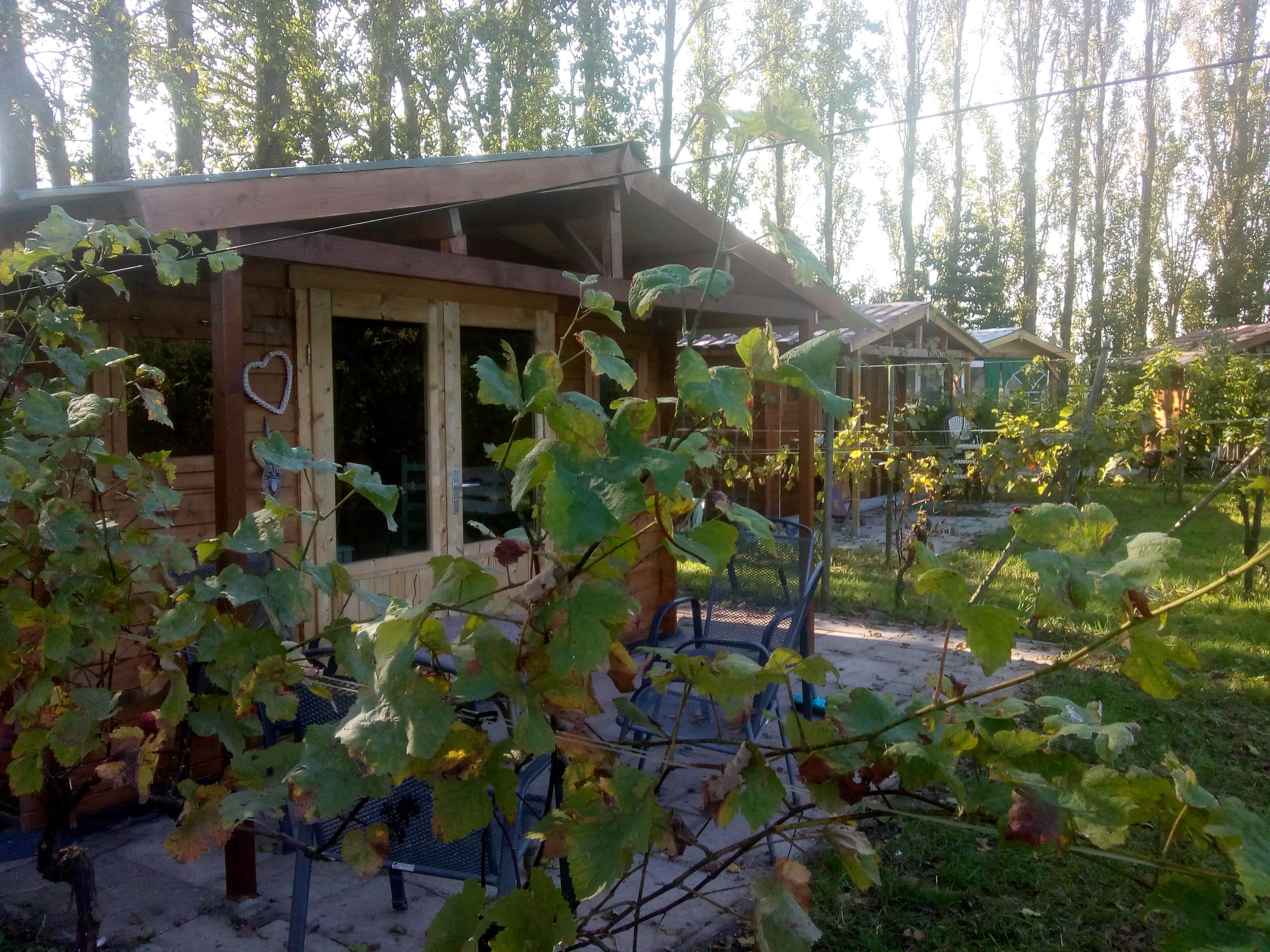 Maison nature à Simonshaven