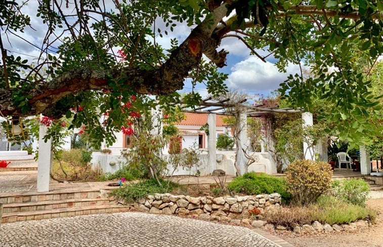 Nature house in Silves: 29