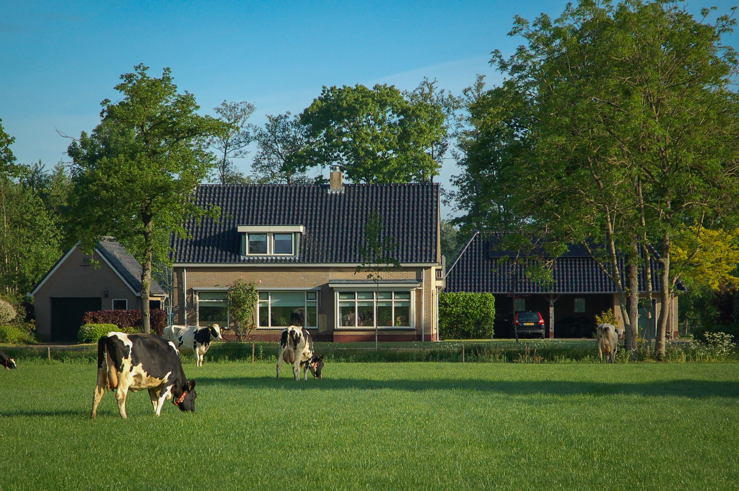 Nature house in Hoornsterzwaag