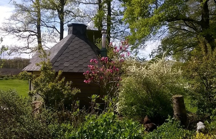 Natuurhuisje in Haarlo