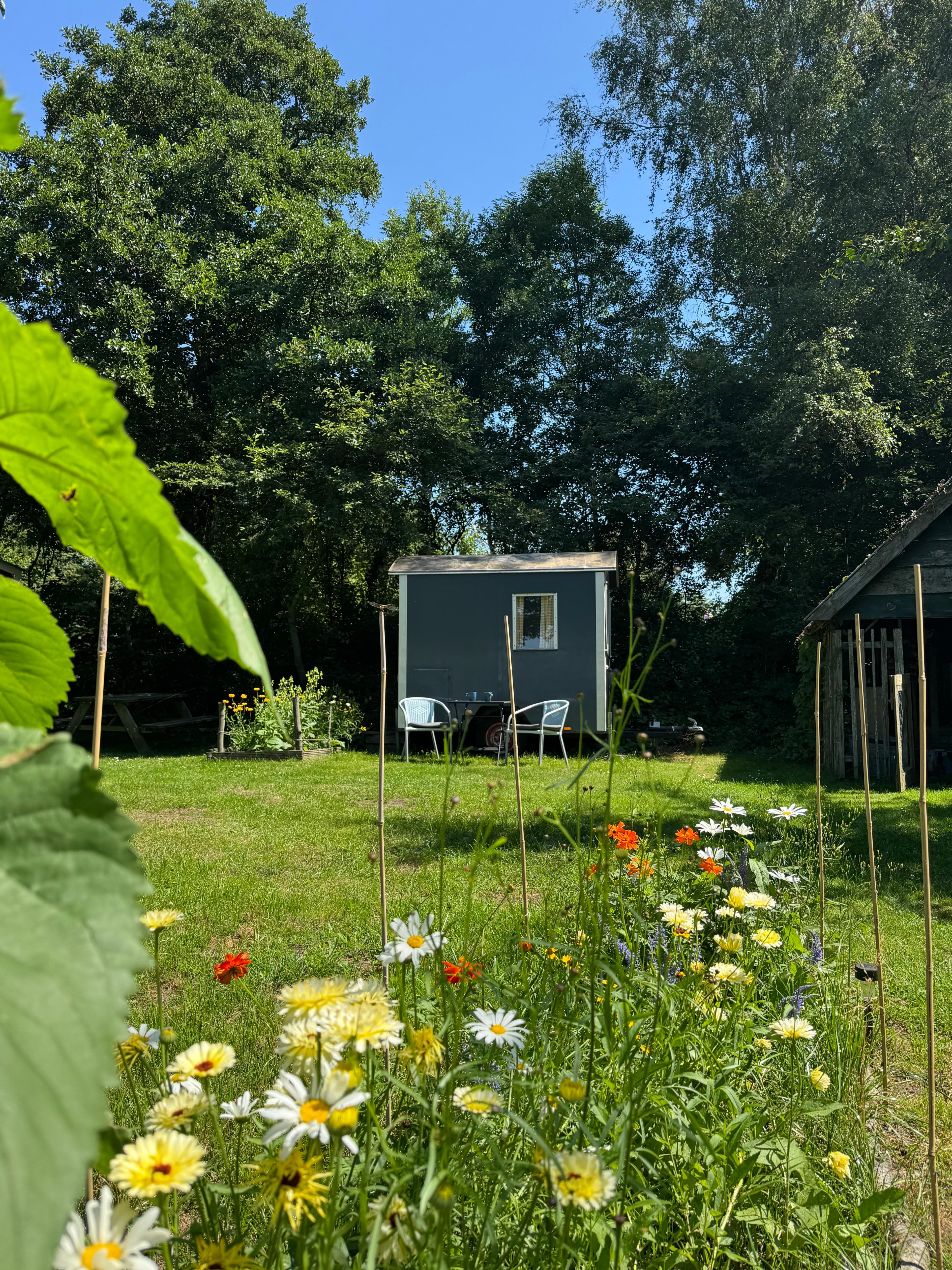 Nature house in Wedde