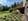 Casa nella natura a Berg en Dal