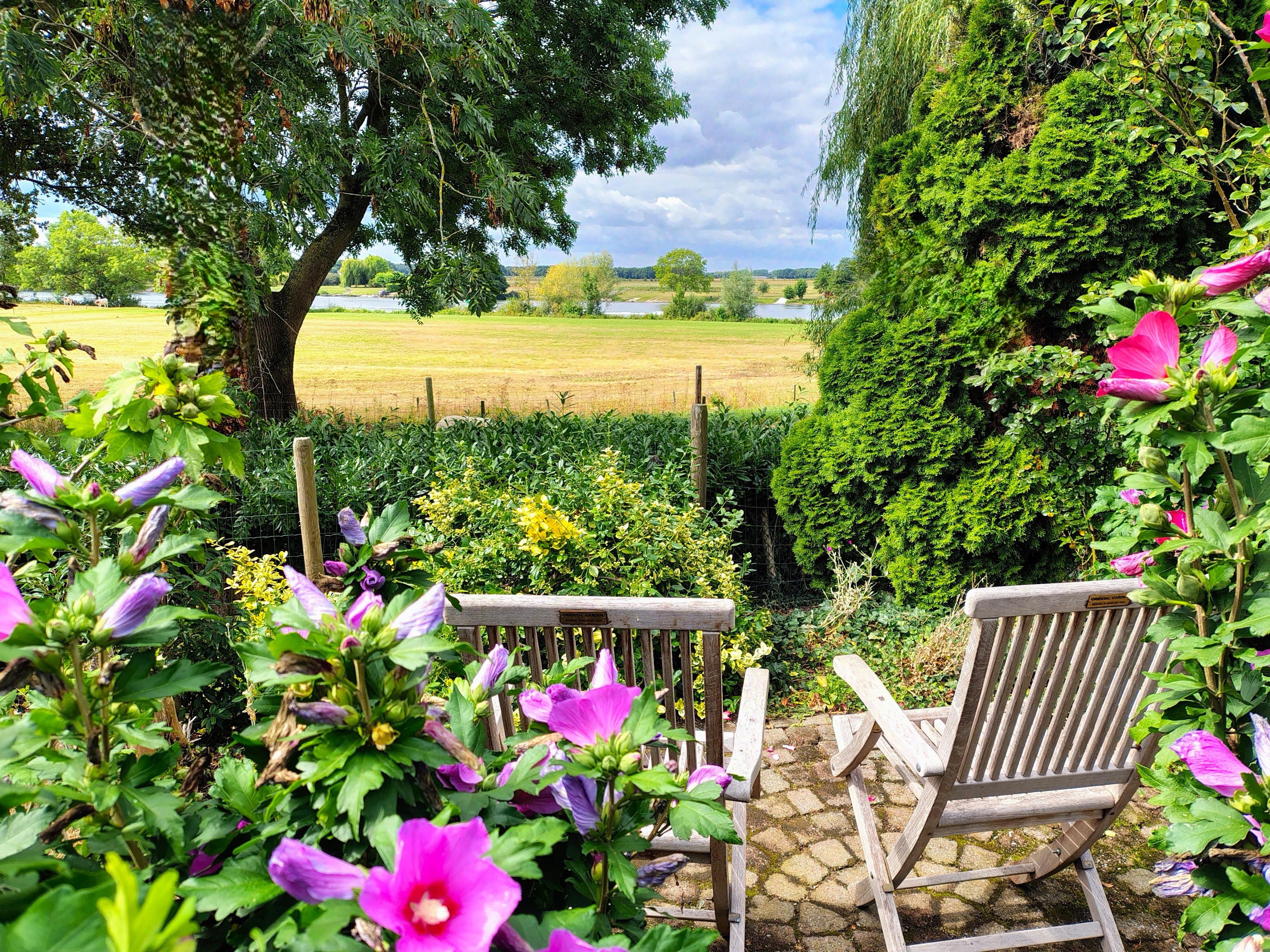 Natuurhuisje in Well
