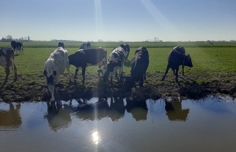 Blokhut in Hitzum — foto 3