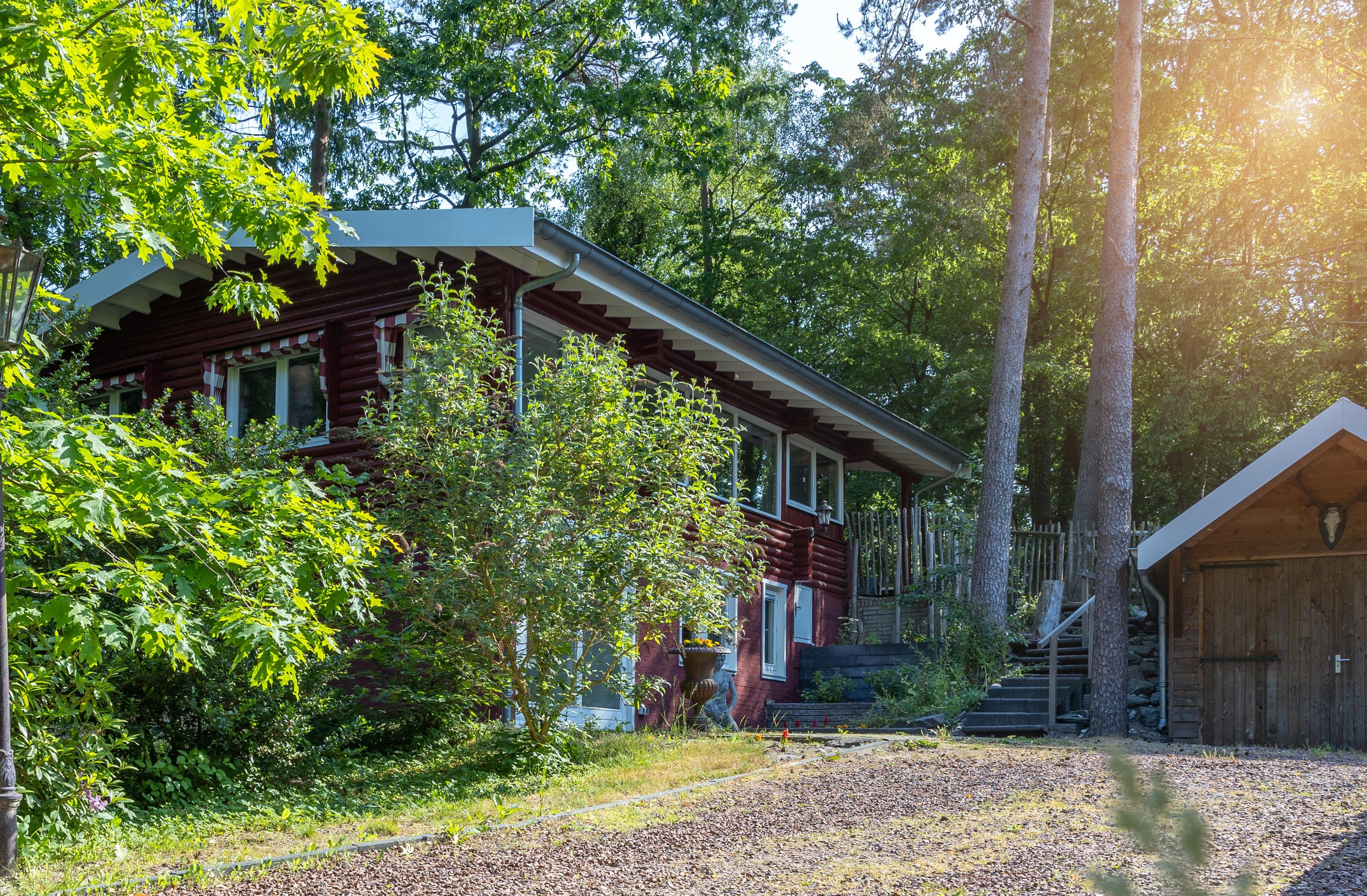Nature house in Appelscha