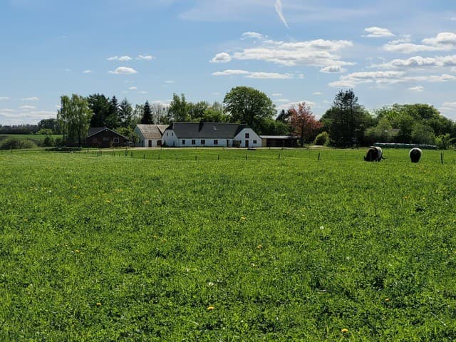 Maison nature à Viborg