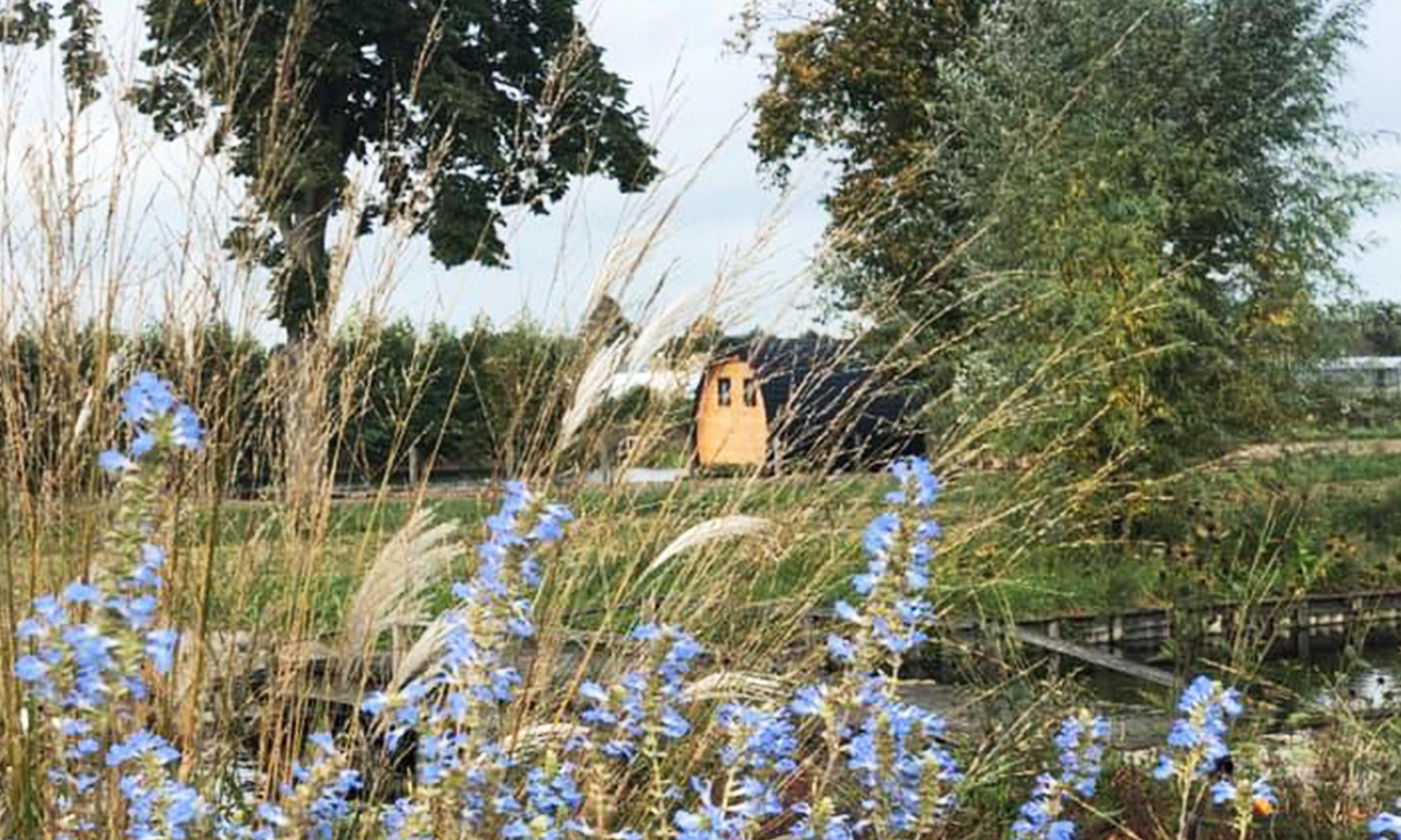 Nature house in Boskoop