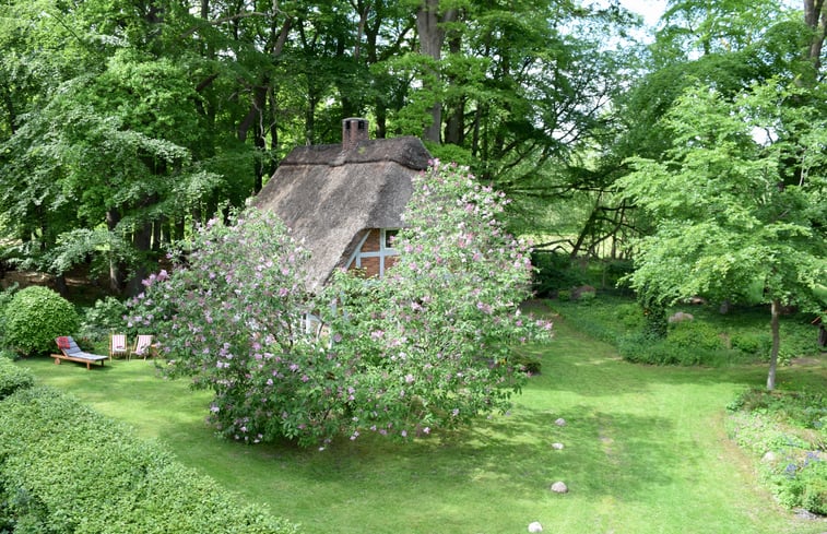 Casa naturaleza en Hipstedt: 20