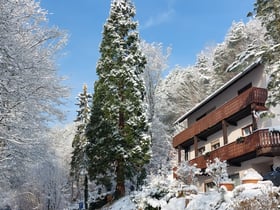 Natuurhuisje in Schweigen-Rechtenbach