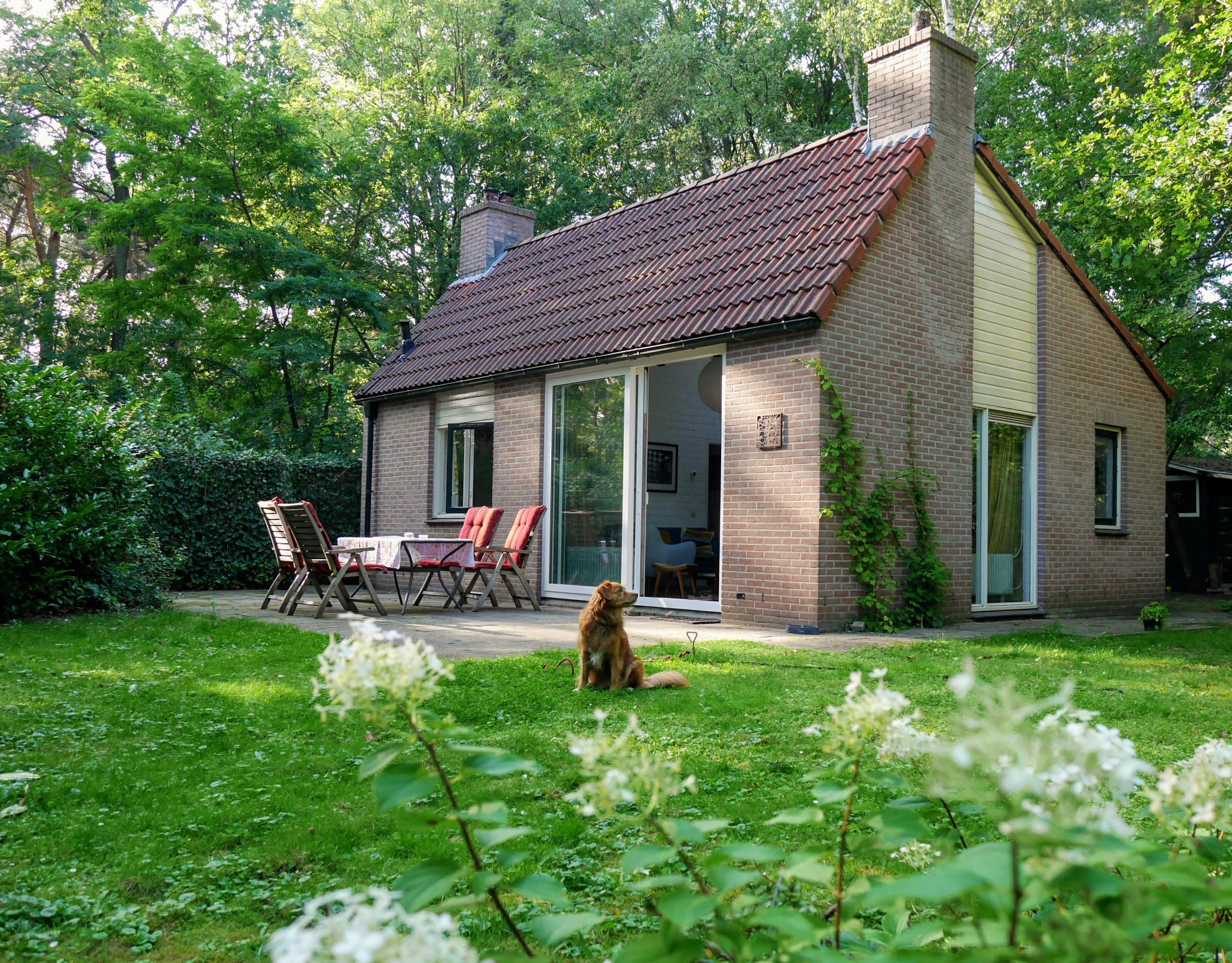 Natuurhuisje in Harfsen