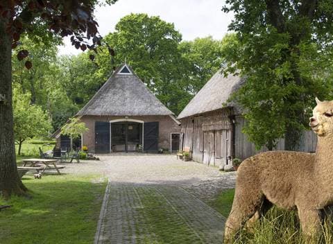 Maison nature à Oosterhesselen