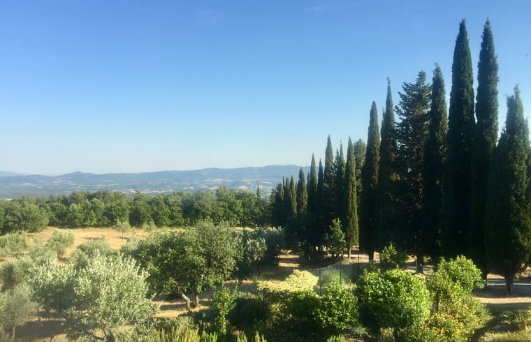 Landhuis in Loro Ciuffenna — foto 2