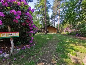 Natuurhuisje in Holten