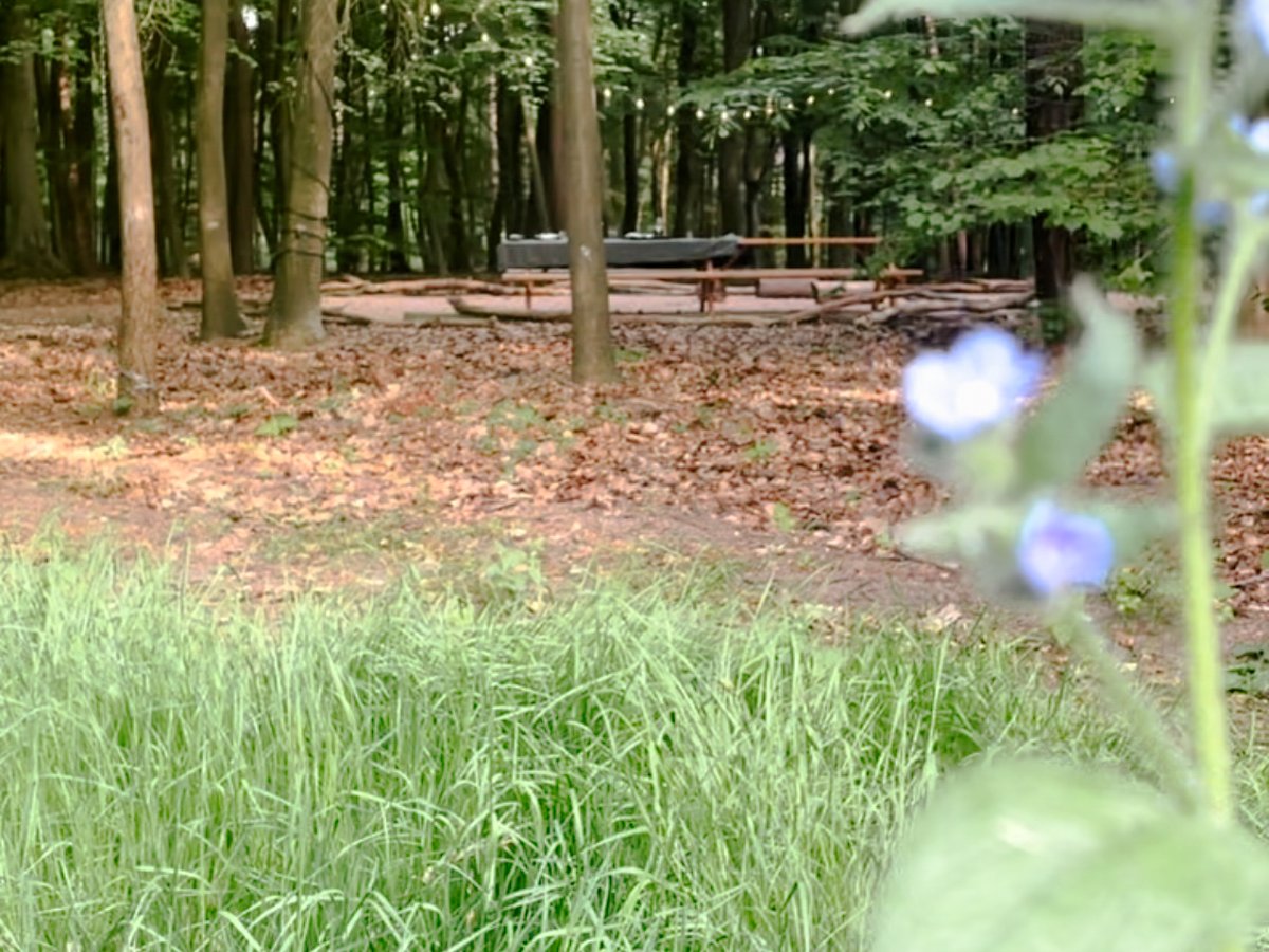 Houtgestookte hottub op het terrein