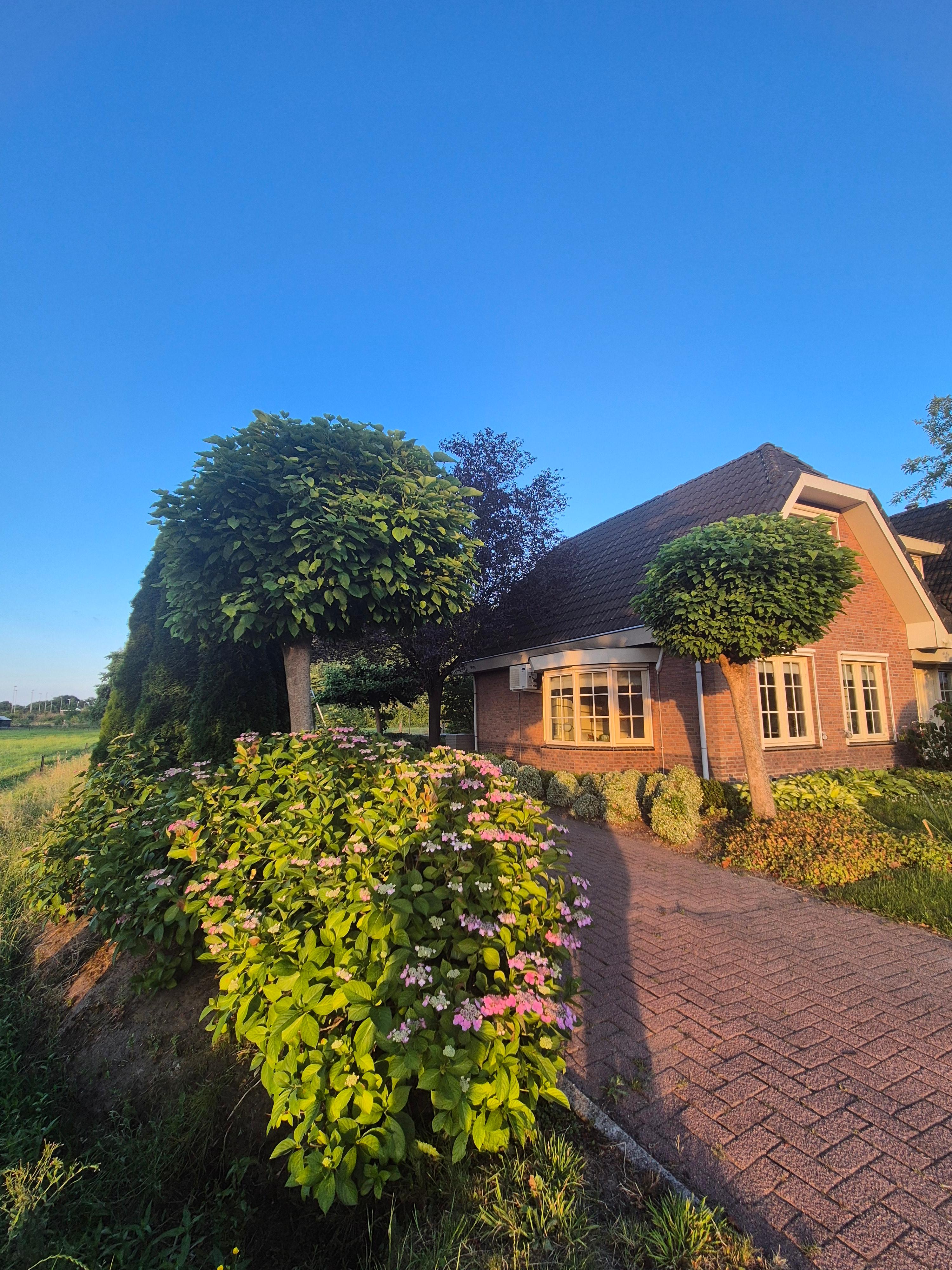 Nature house in Barneveld