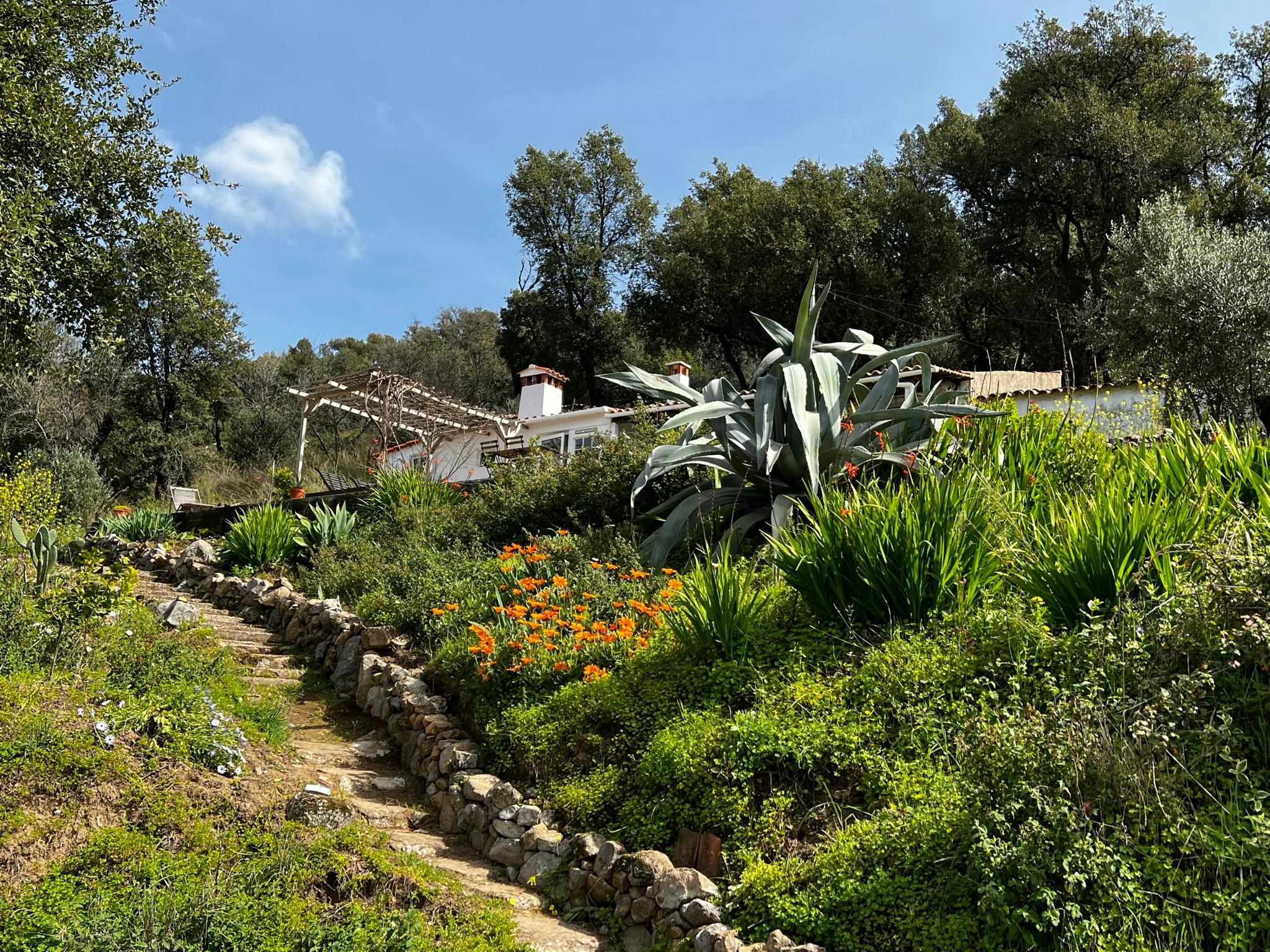 Nature house in Alferce