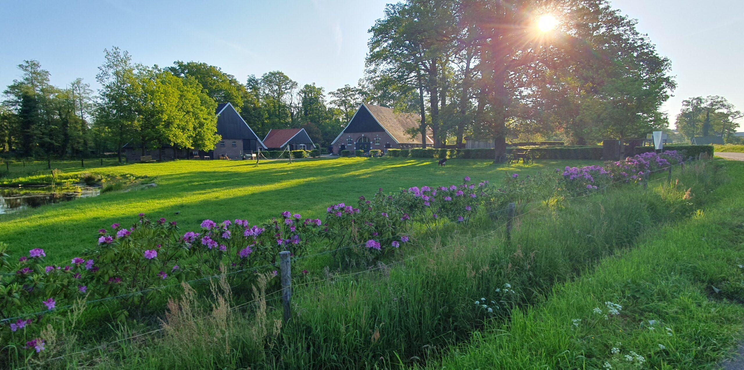 Nature house in Enschede