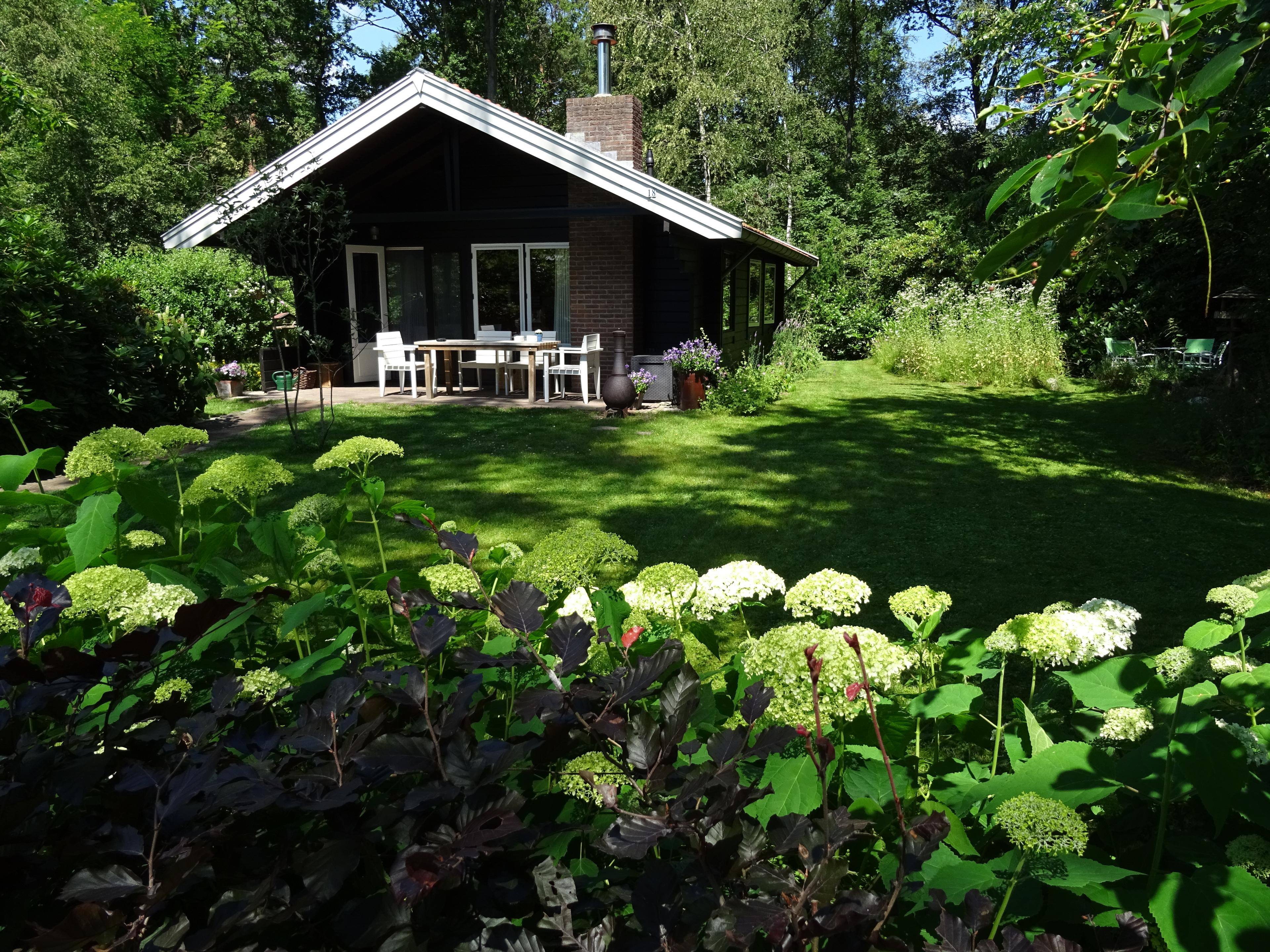 Nature house in Winterswijk Henxel