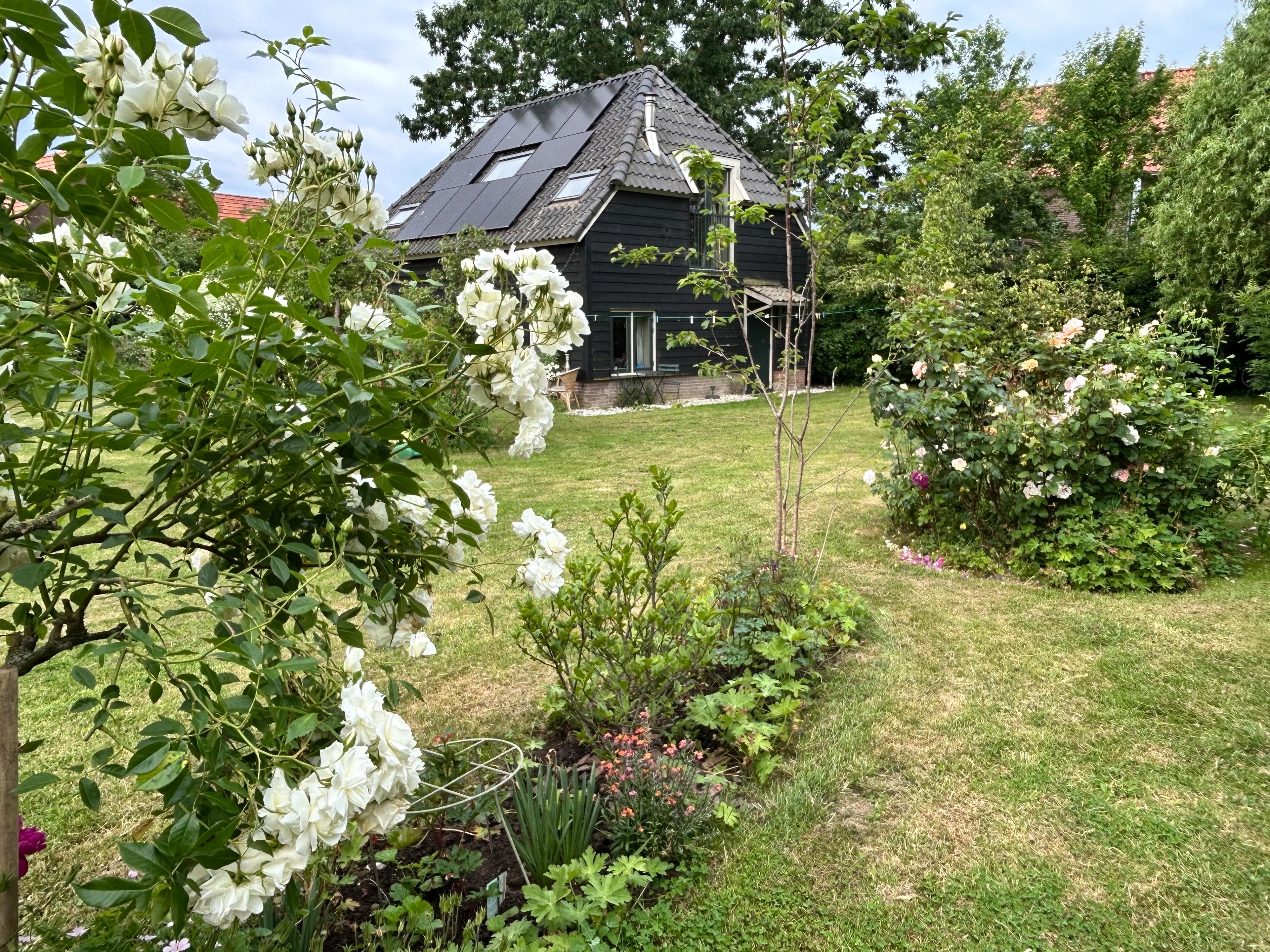 Casa nella natura a Dieden