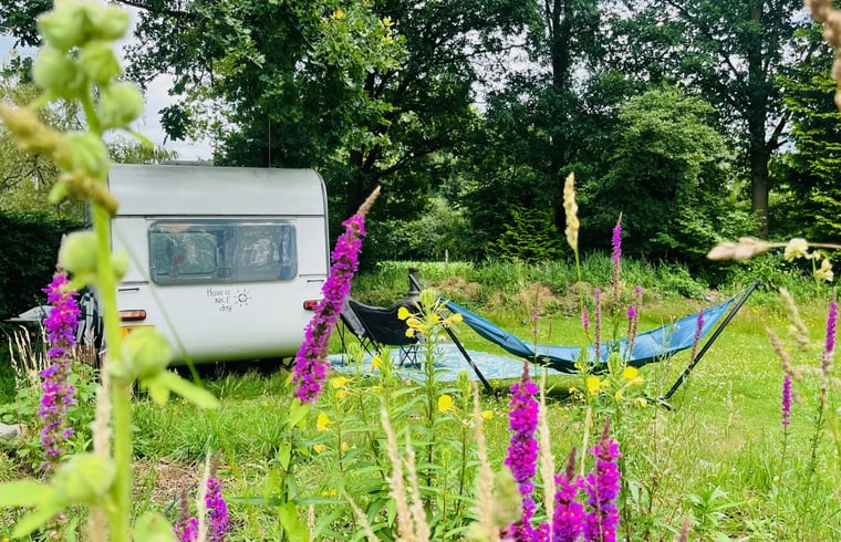 Natuurhuisje in Liempde