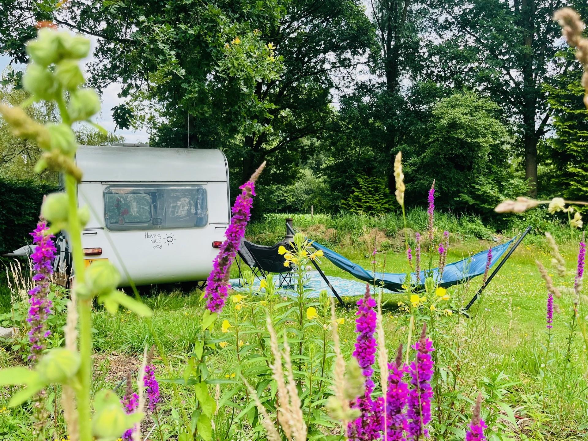 Maison nature à Liempde