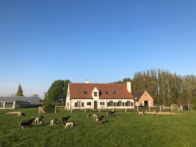 Maison nature à Harelbeke