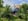 Nature house in Ruurlo