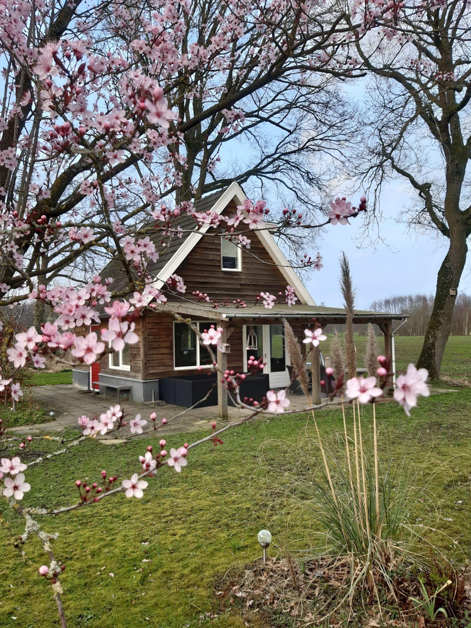 Casa nella natura a Hengelo Gelderland, gemeente Bronckhorst