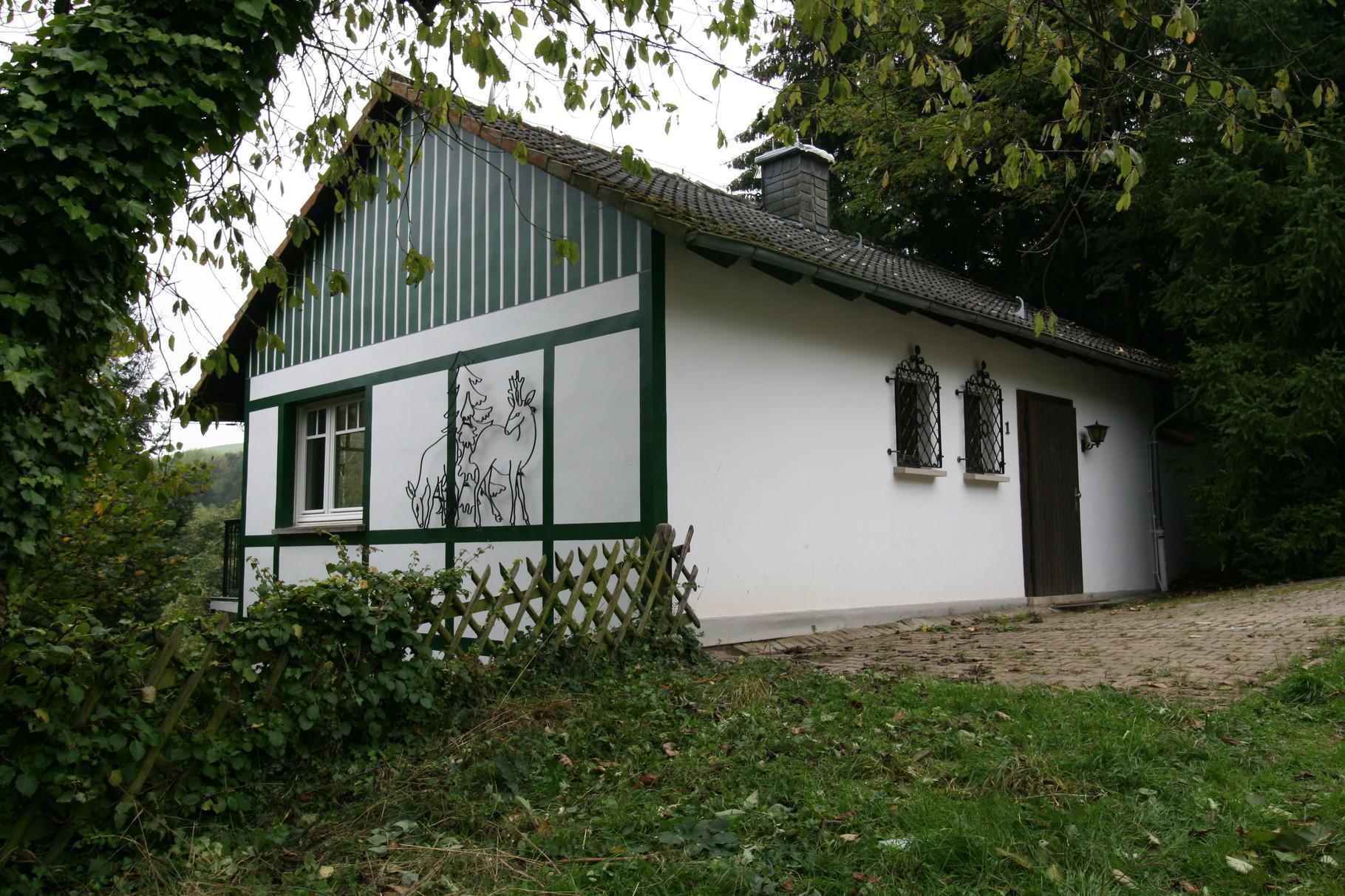 Natuurhuisje in Willingen