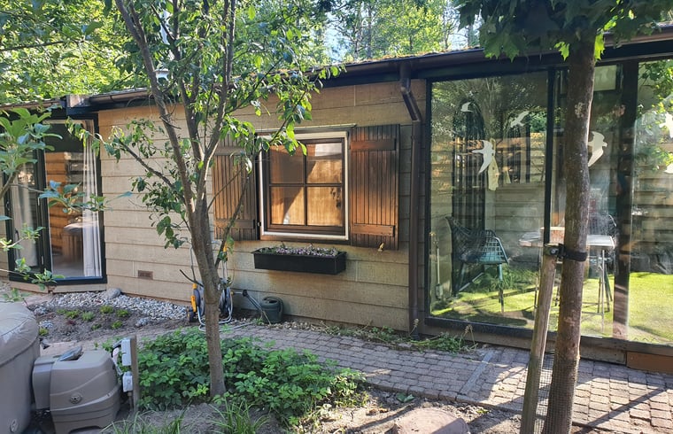 Chalet in Oisterwijk — foto 3