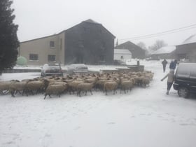 Maison nature à Fraiture/Vielsalm