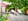 Nature house in Bellingwolde