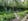 Nature house in Barchem