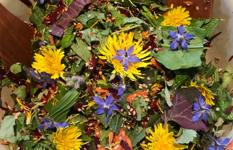 Boomhut in Trippstadt — foto 3