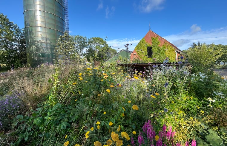 Natuurhuisje in Marrum