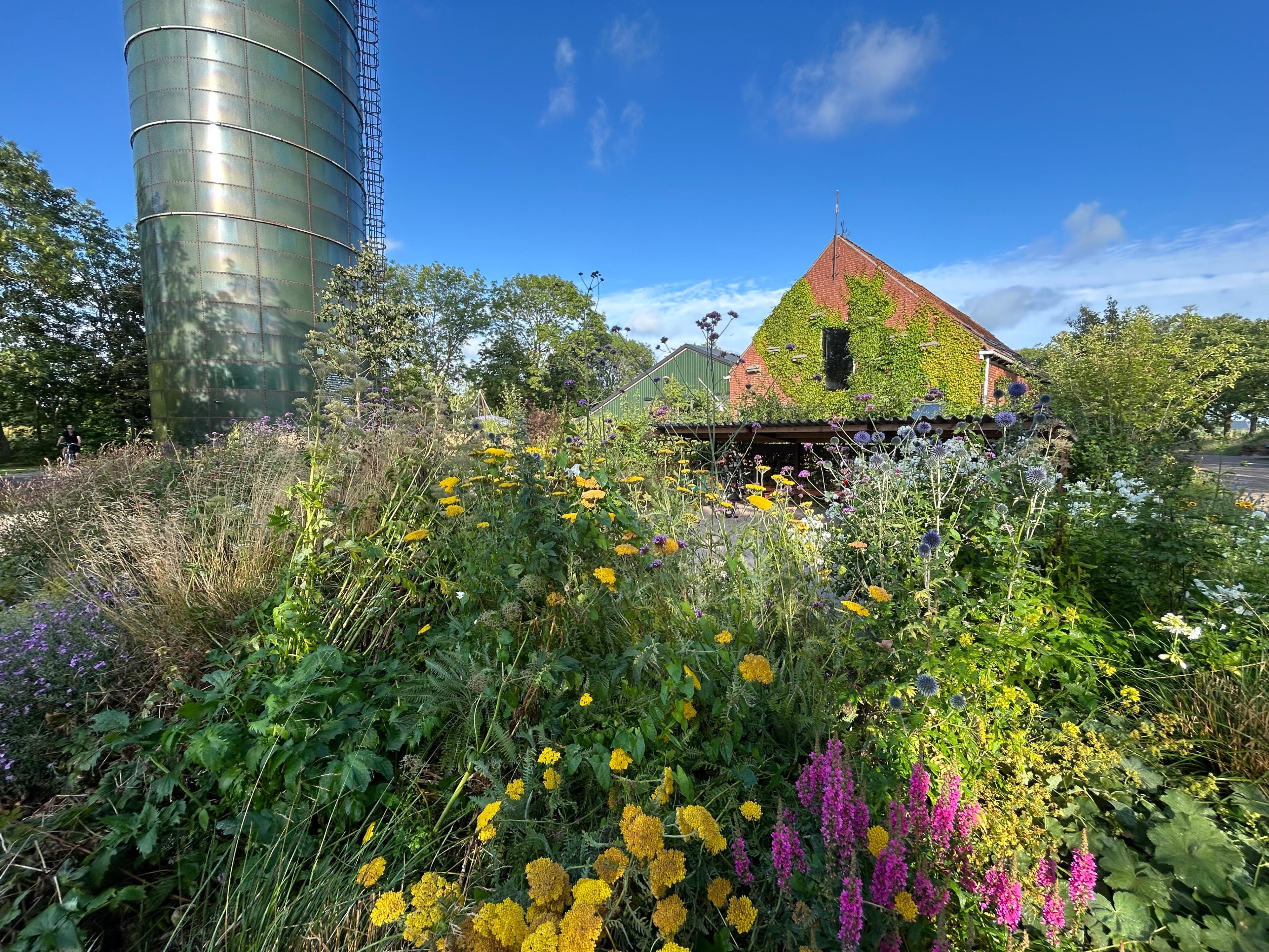 Nature house in Marrum